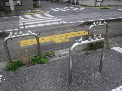 Abiko city Museum of Birds-我孙子市必去景点