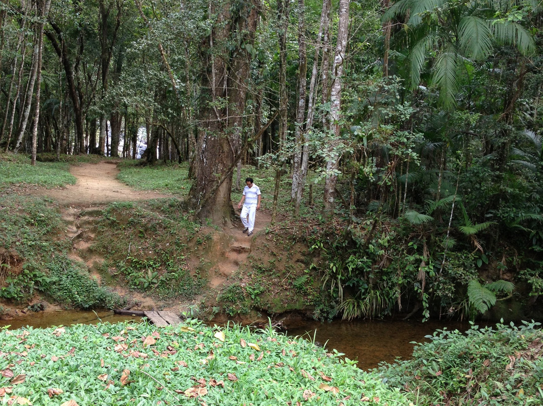 Cachoeira Do Pitú-卡纳内亚必去景点