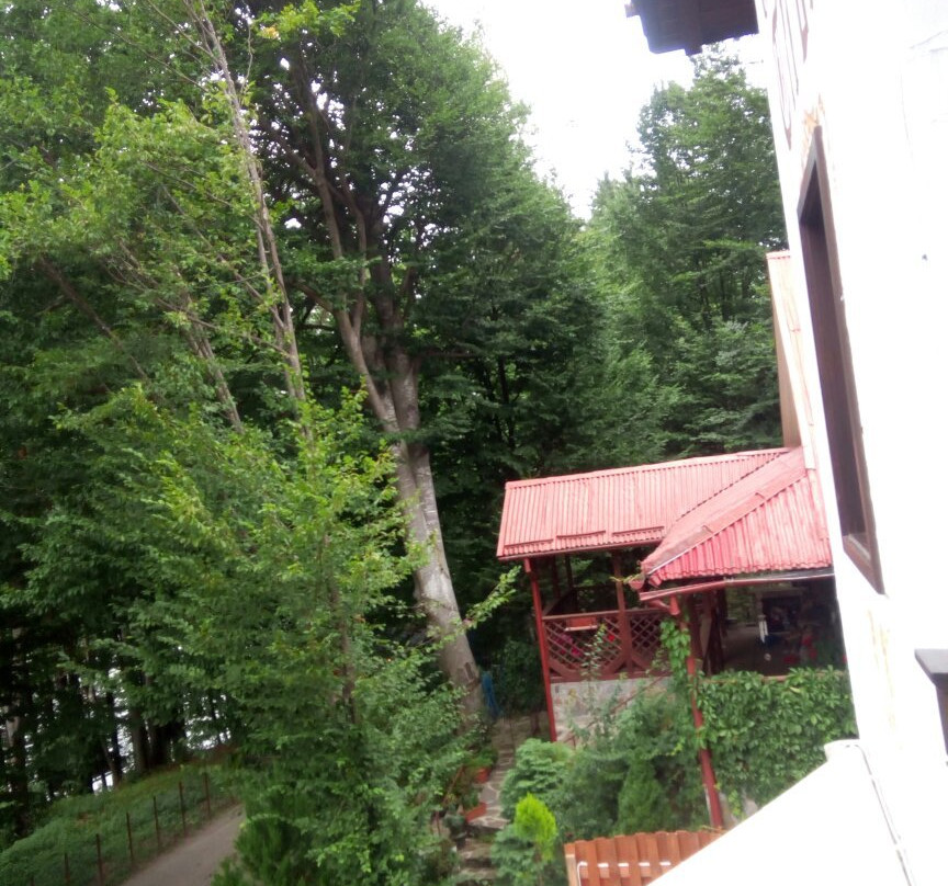 Gasthof Tirol主图