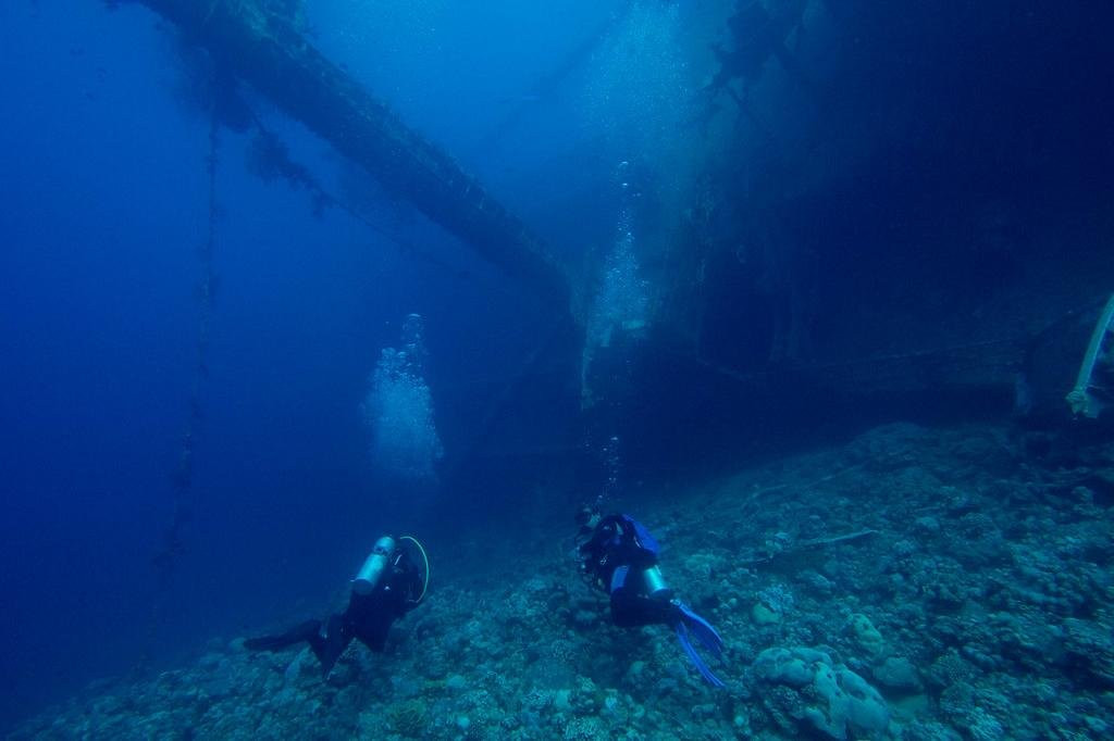 Ugarit Tours and Travel-安曼必去景点