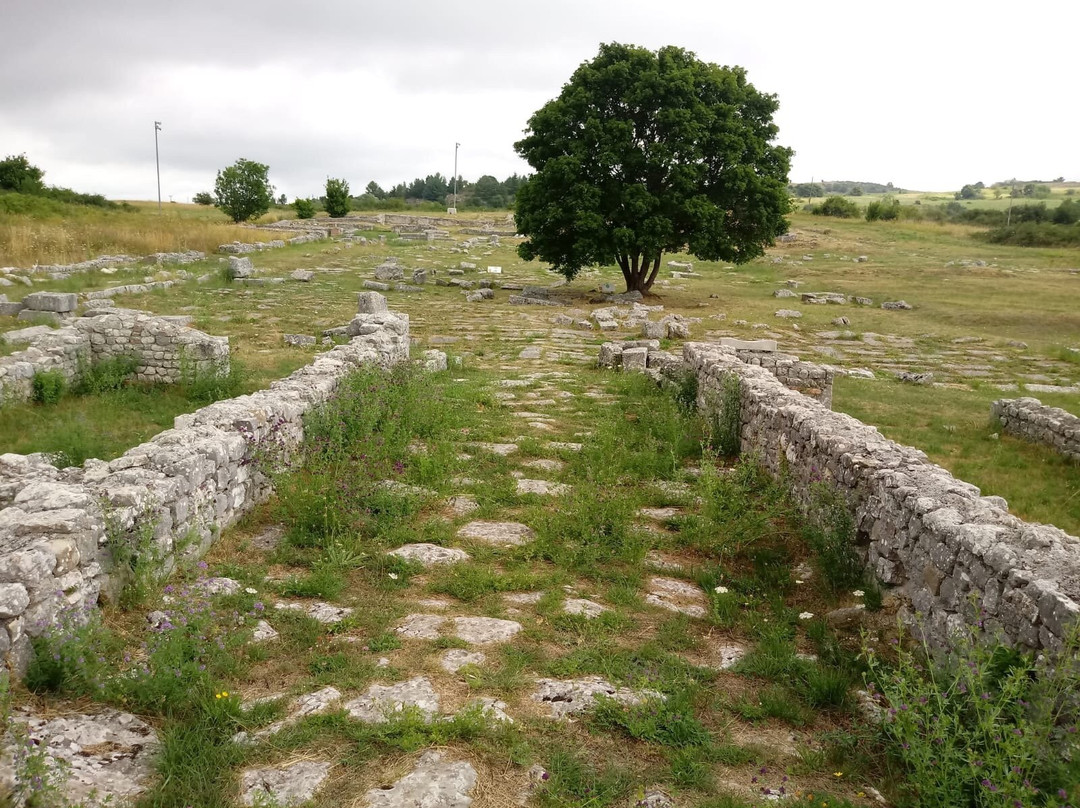 Iuvanum Museo e Parco Archeologico景点图片