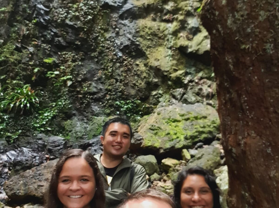 Gold Coast Rainforest Tours & Hikes-冲浪者天堂必去景点