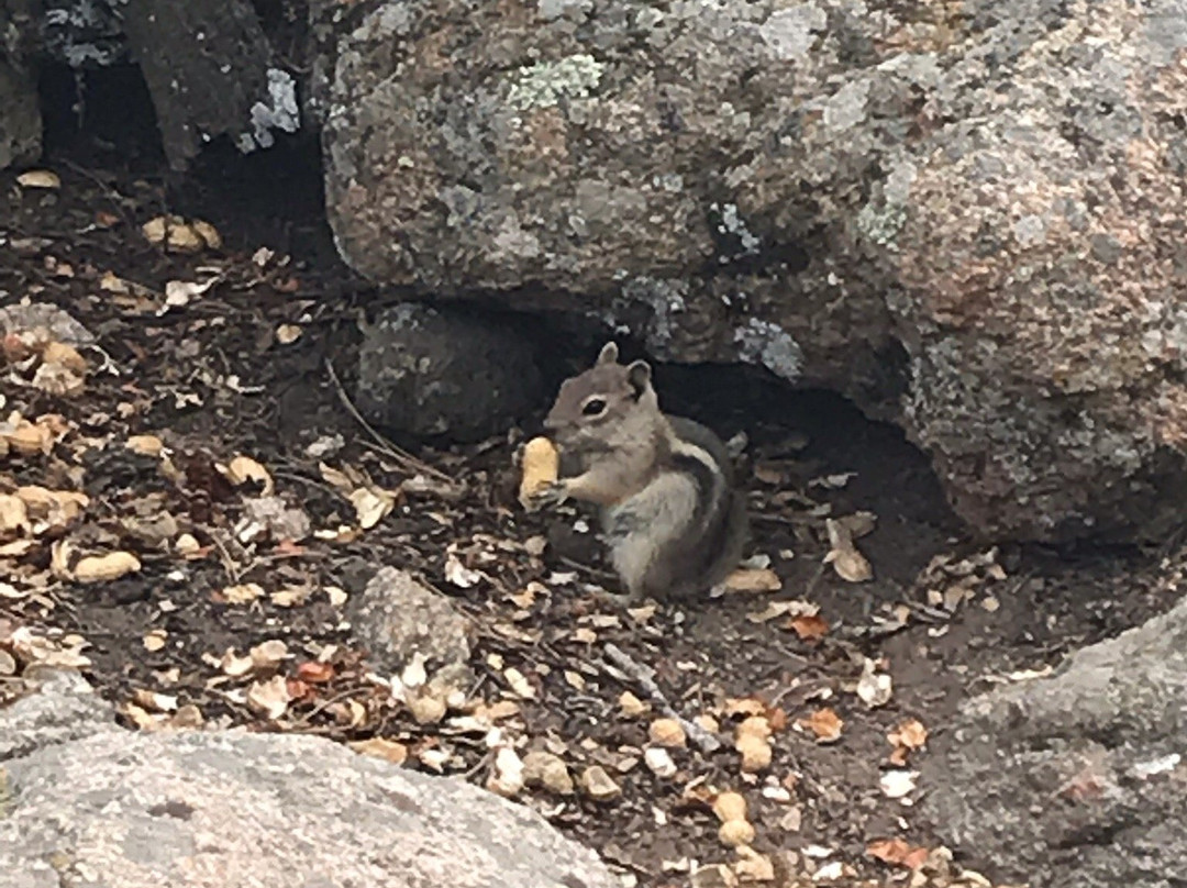 Estes Park Aerial Tramway景点图片