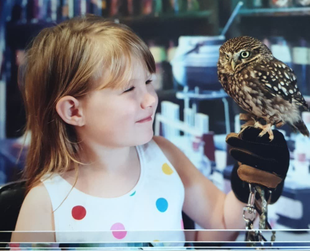 Birds of Prey Educational Centre-Midleton必去景点