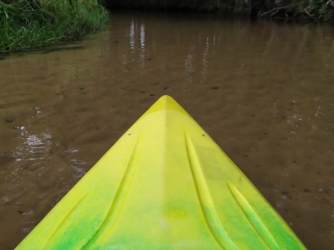 Kayaks - Nad Wieprzem景点图片
