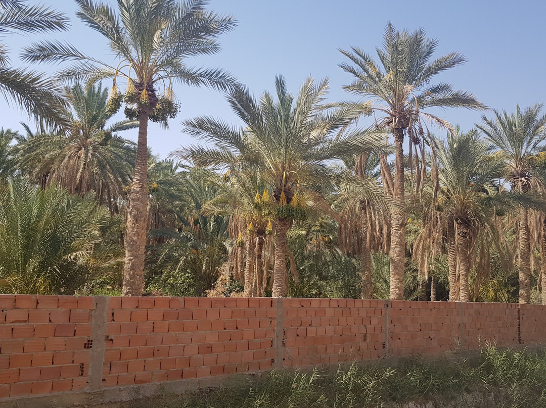 Hôtel Elarich主图