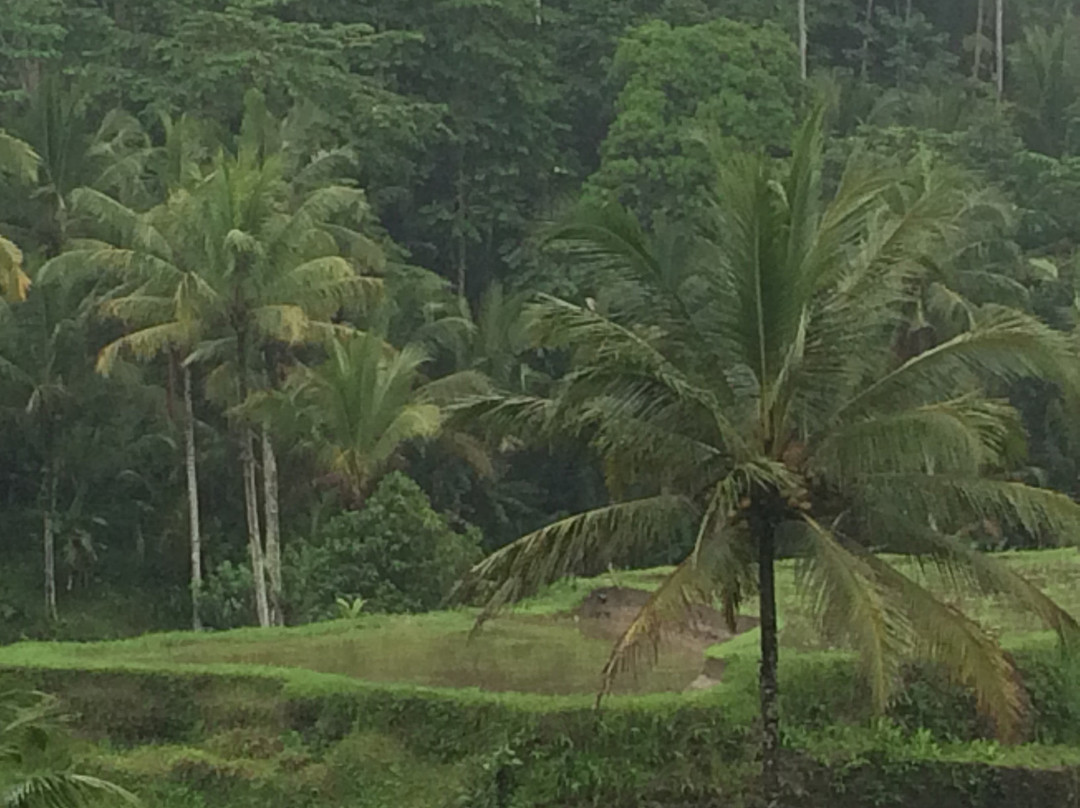 彭杜克塞巴图别墅酒店主图