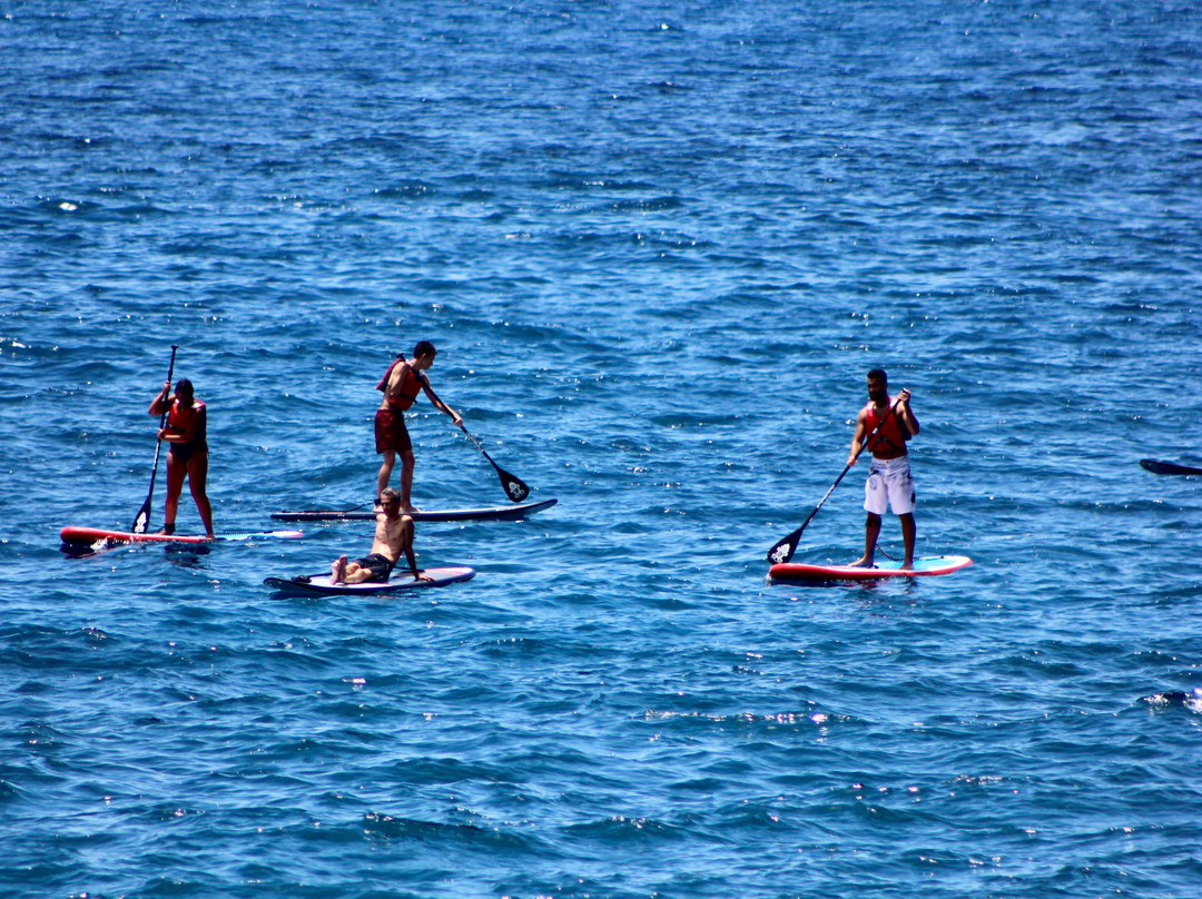 Aroundfreedom Surf School景点图片