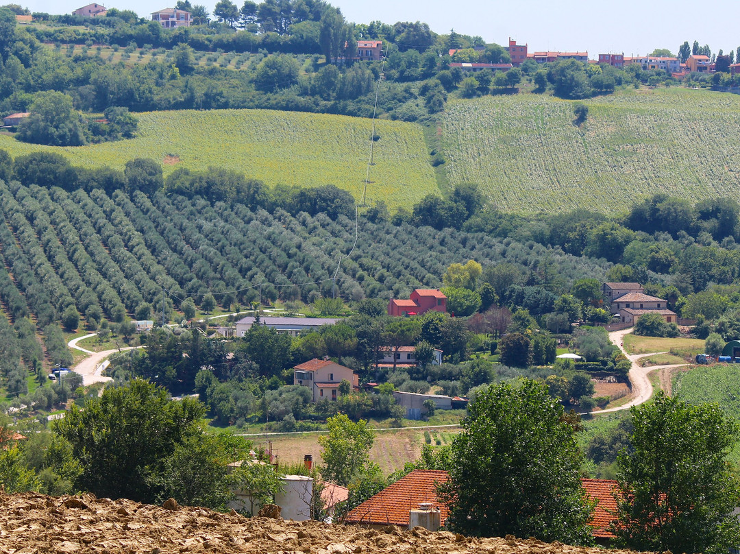 A3Passi Agriturismo tra gli Ulivi主图