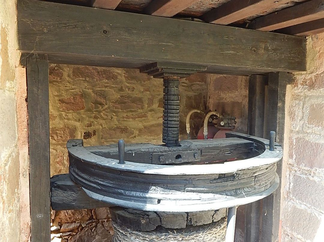 Fundacion Centro de Documentacion Musical Casa Museo Andres Segovia-Linares必去景点