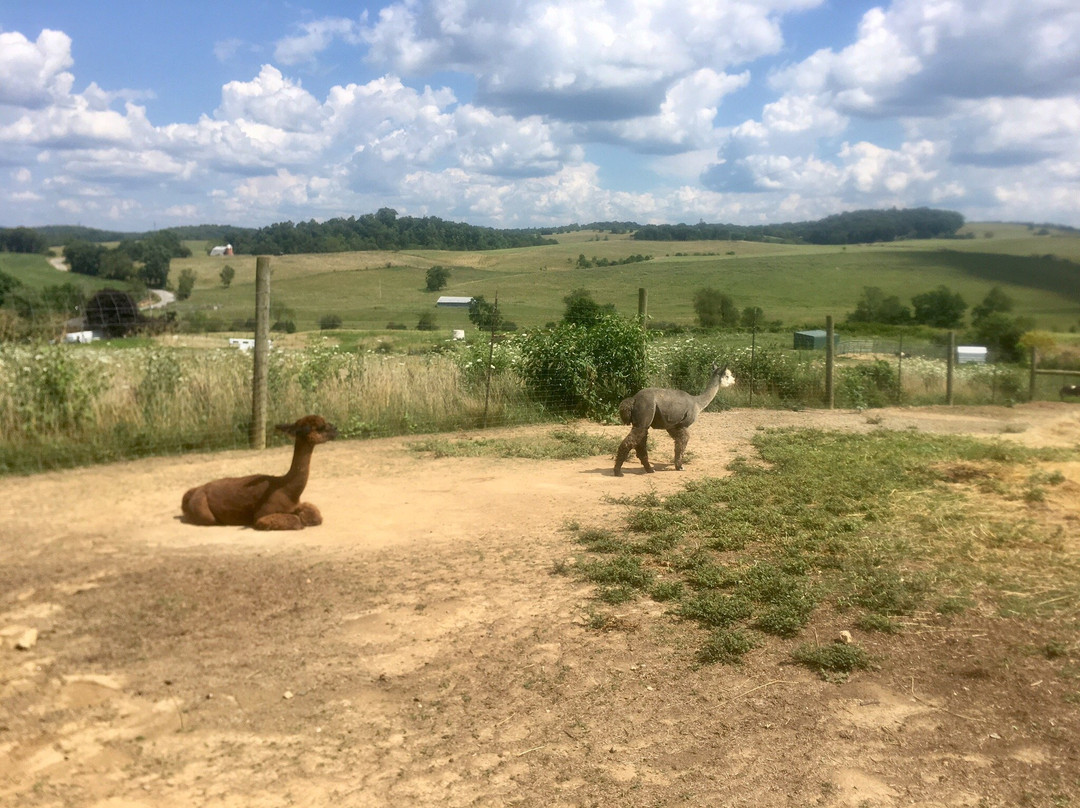 Fort Chiswell Animal Park-Max Meadows必去景点