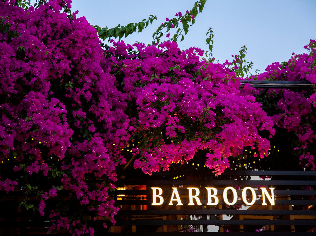 Barboon Bar-卡斯必去景点