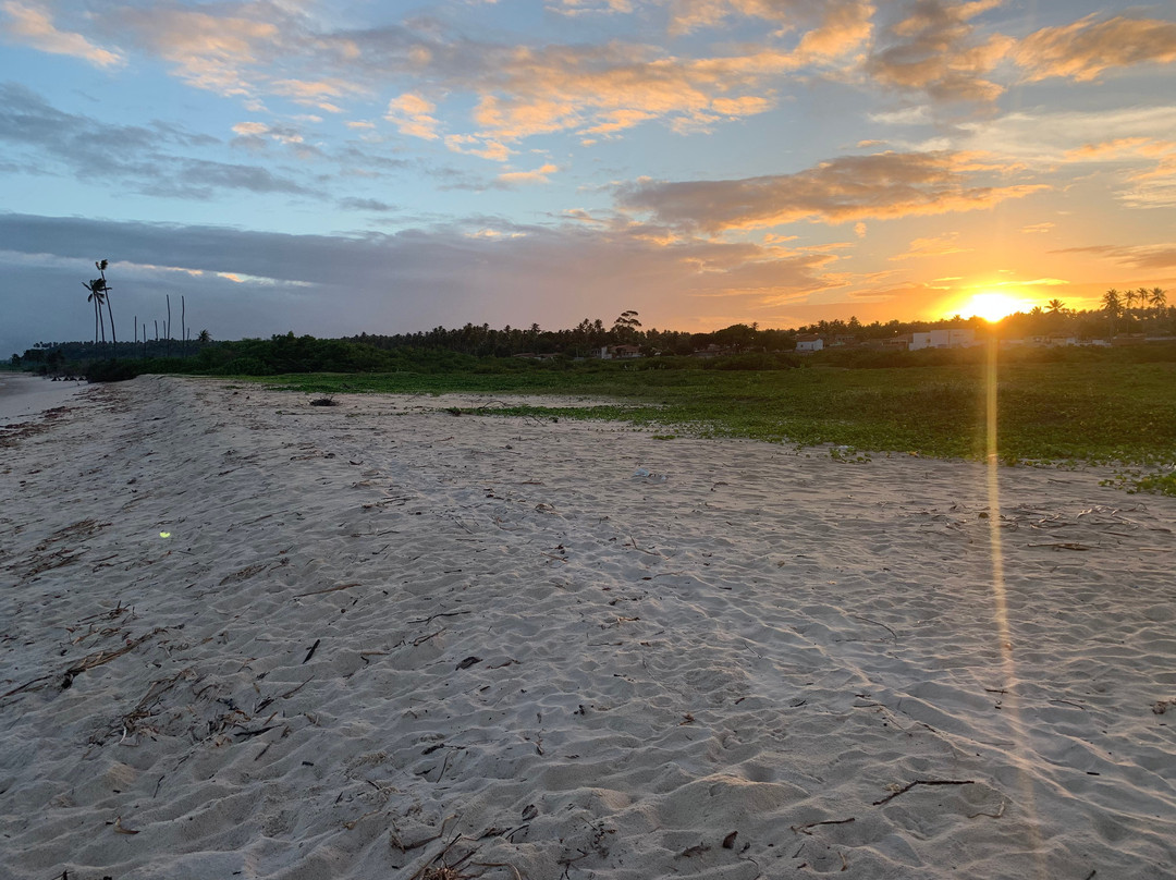 Ecolodge Batel Pousada主图