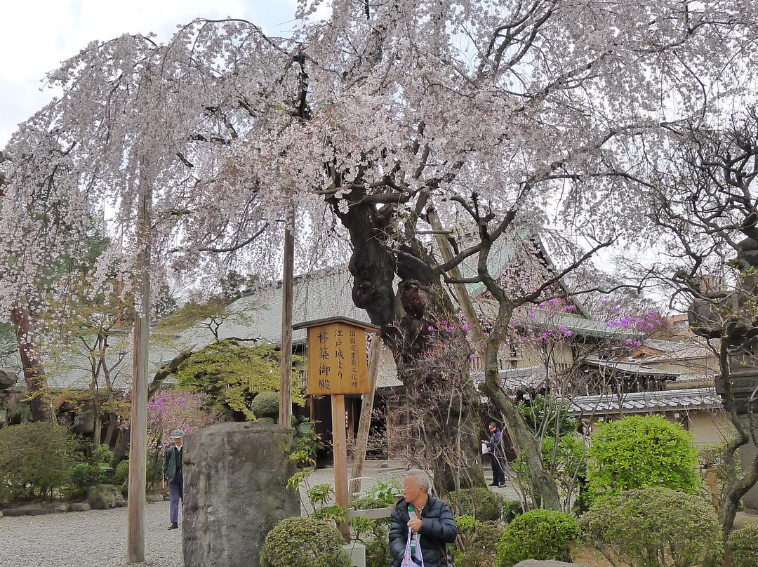 Kitain-川越市必去景点