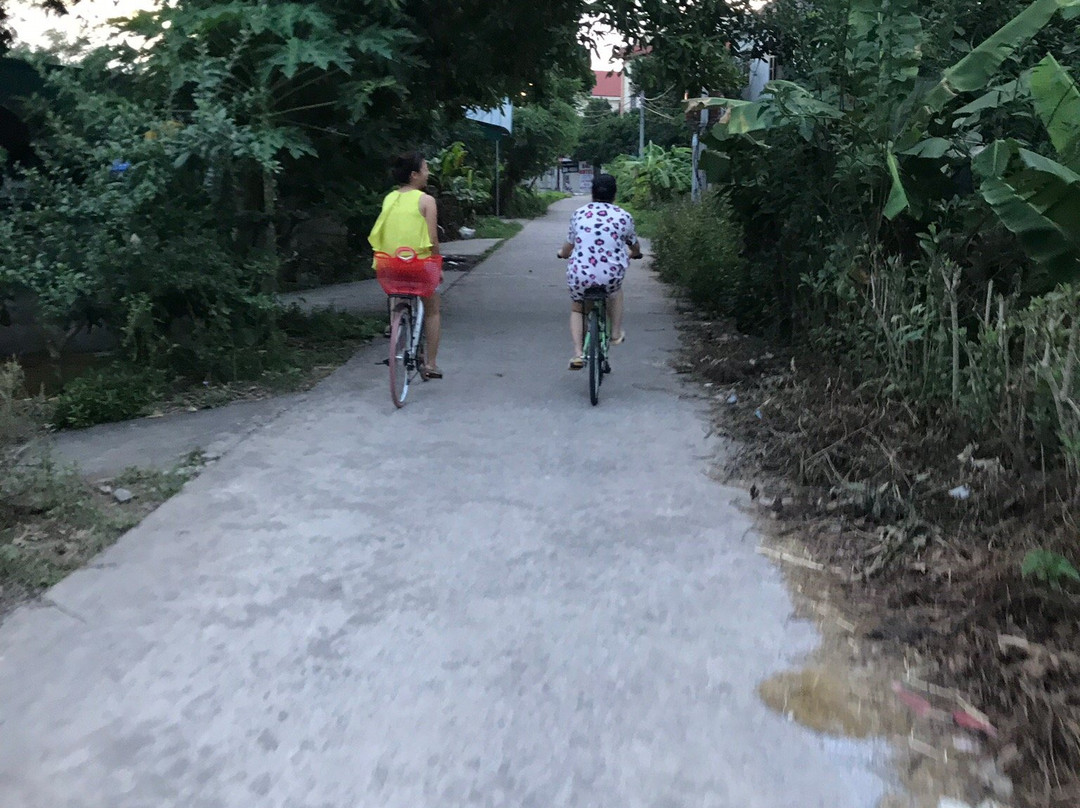 Ninh Binh Palm Homestay主图