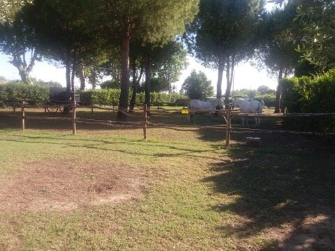 洛加宾酒店主图