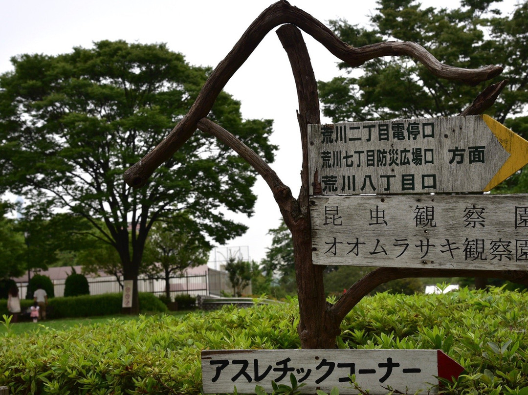 Arakawa Shizen Park-荒川区必去景点