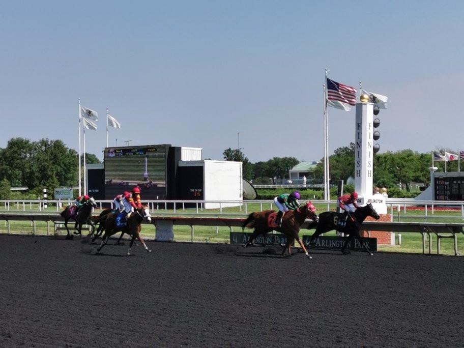 Arlington International Racecourse-阿灵顿海茨必去景点