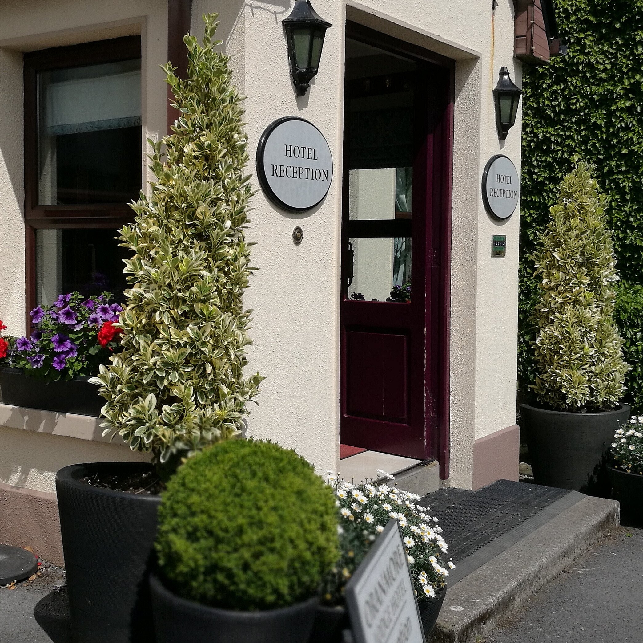 Oranmore Lodge Hotel-官方