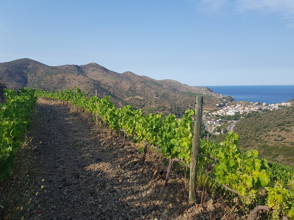 Celler Hugas de Batlle-Colera必去景点