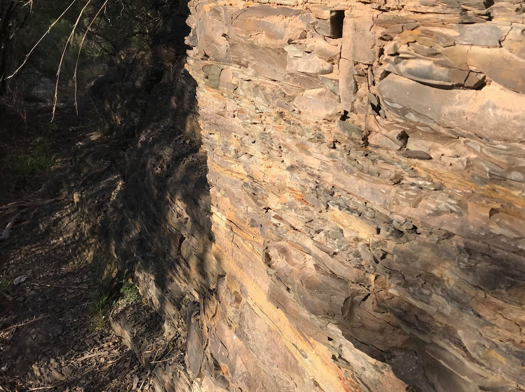 Quarry Reserve-Briagolong必去景点