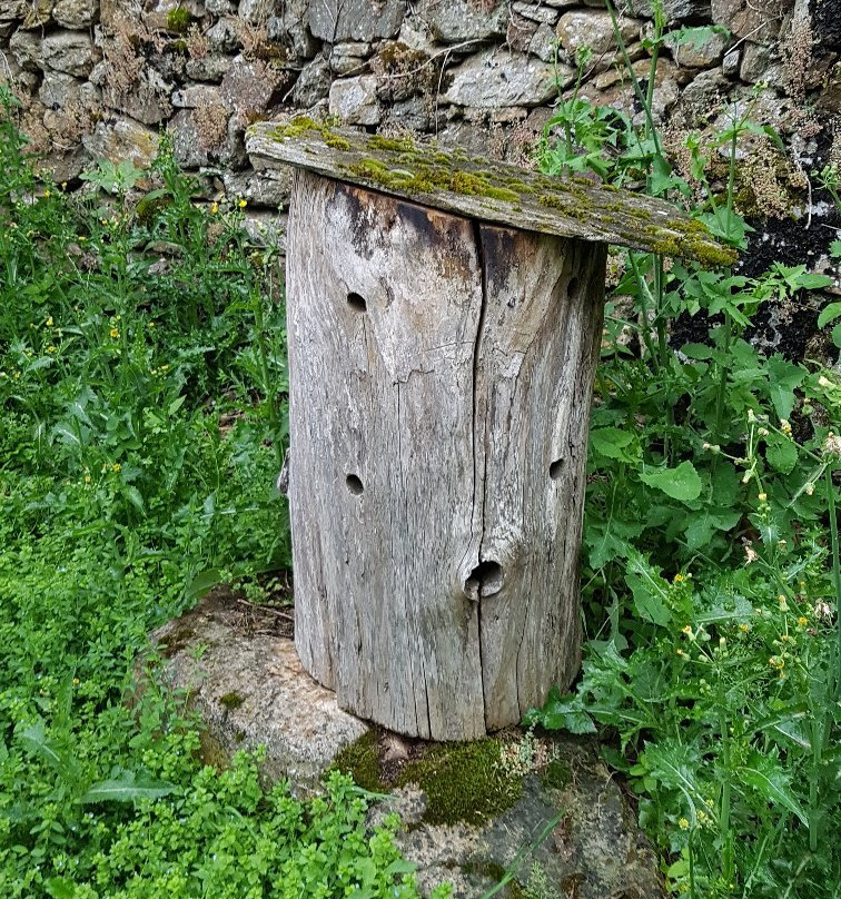 Moulins de Roupeyrac-Durenque必去景点