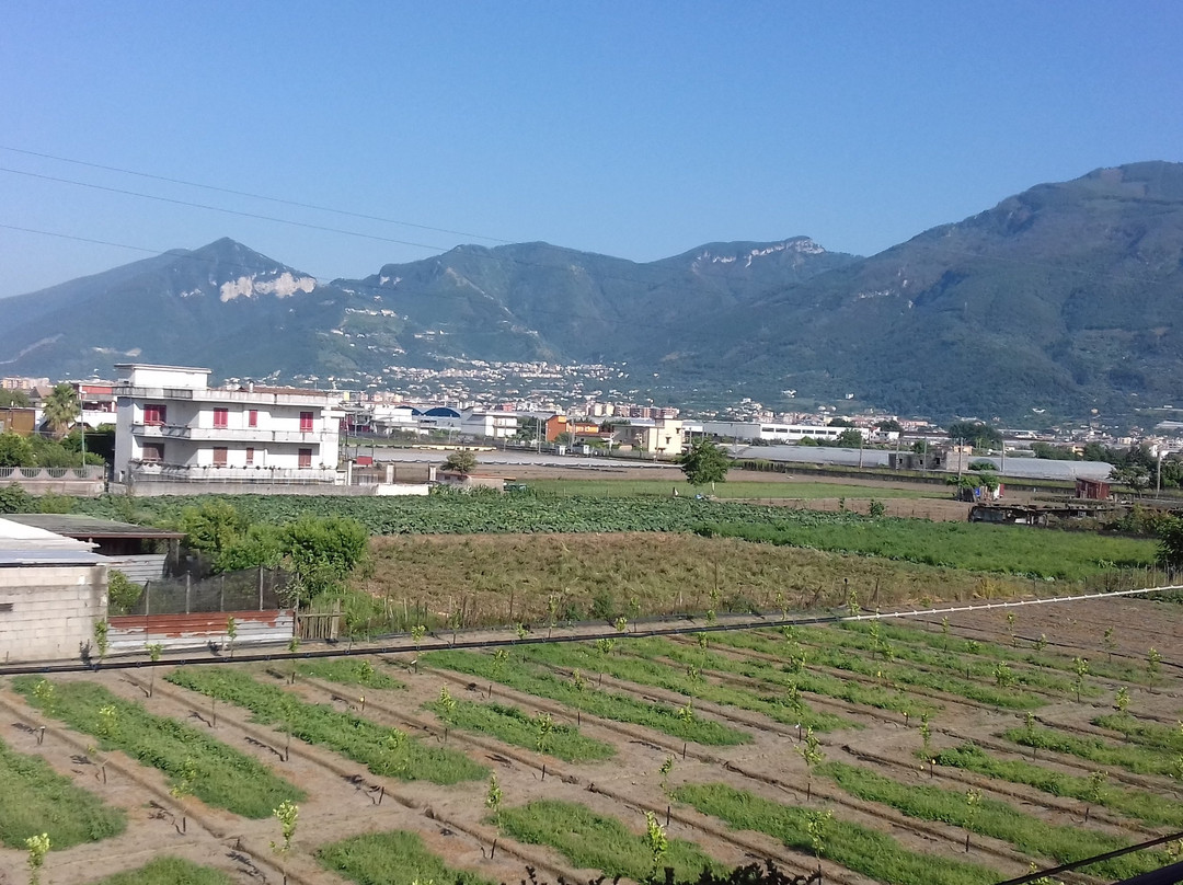Hotel Villa Clementina主图