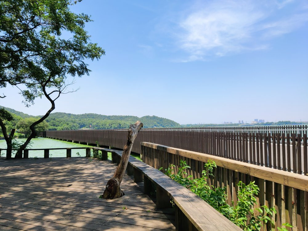 中科院植物园-武汉市必去景点