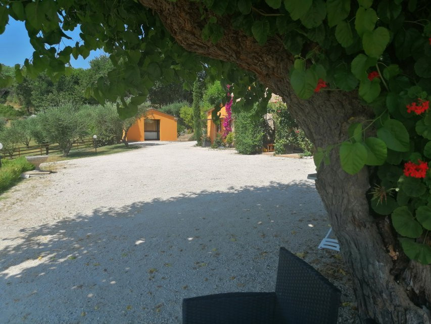 Agriturismo Il Vecchio Scornabecco主图