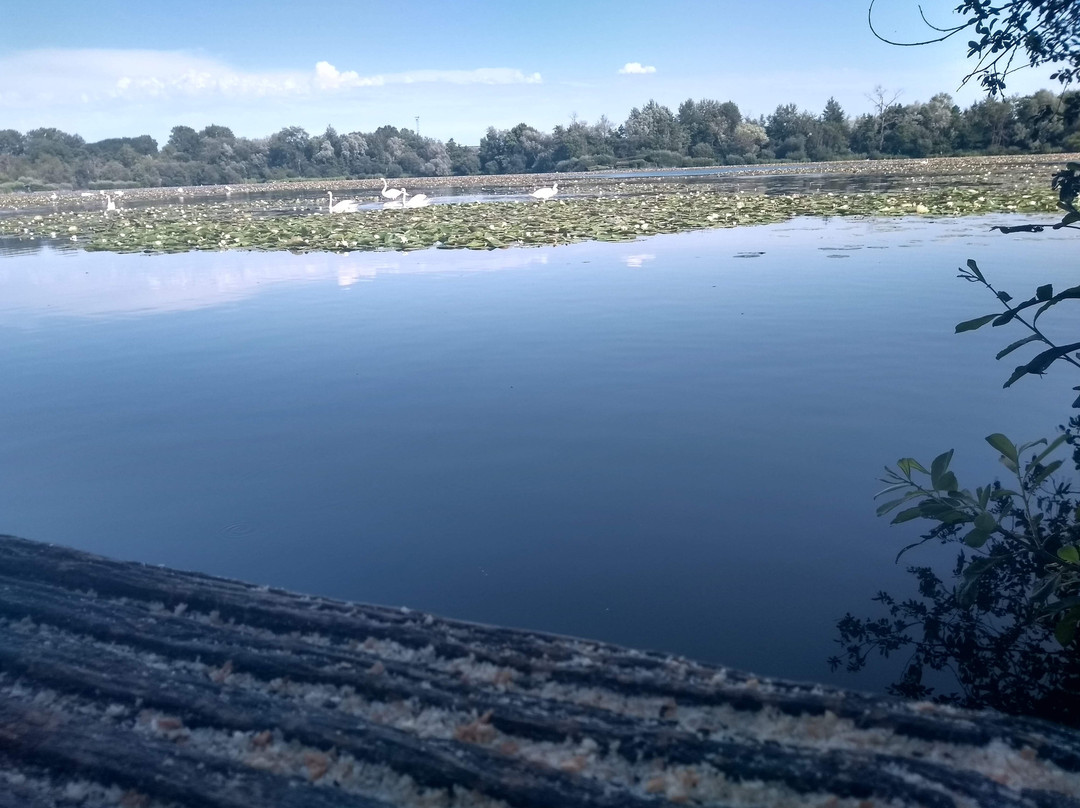 Véloroute Vallée de Somme-亚眠必去景点