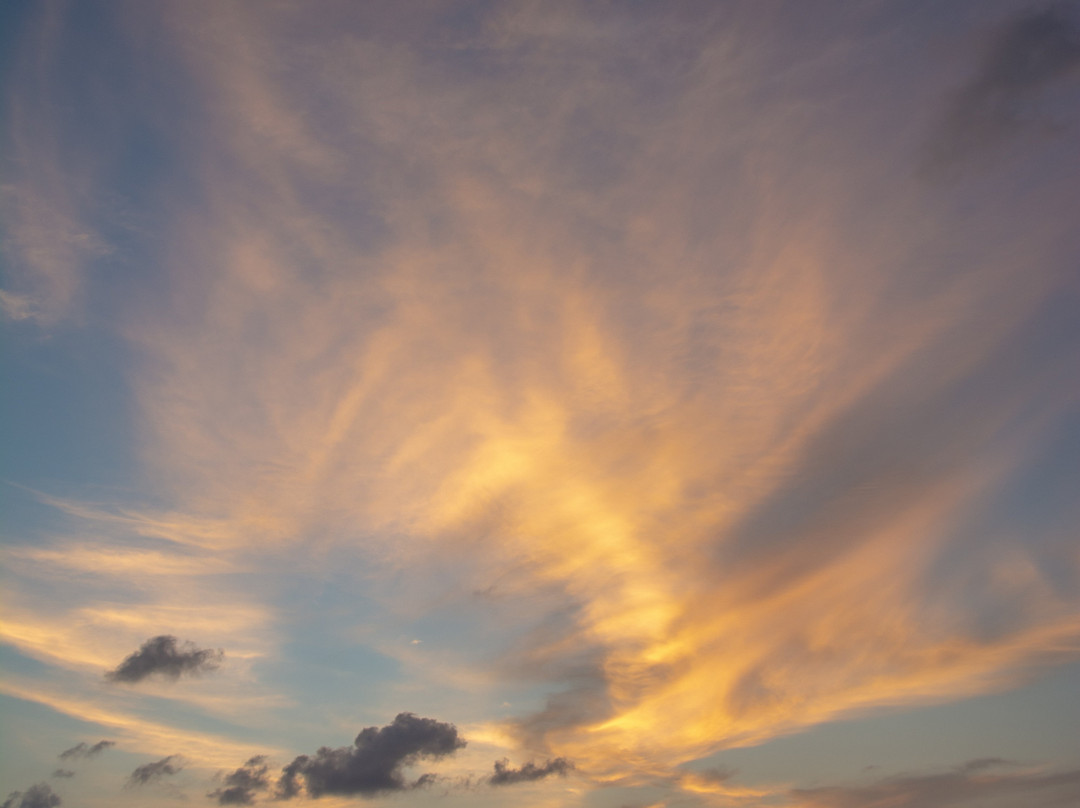 Adora Liveaboard, Maldives-马累必去景点