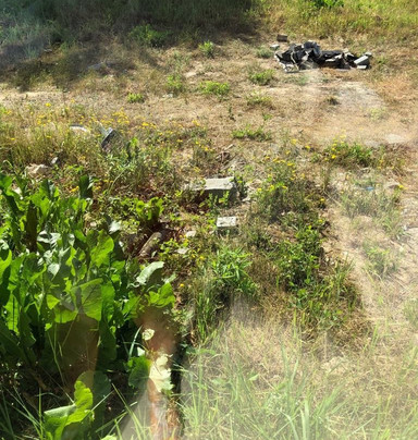 Trojanowice旅游攻略图片