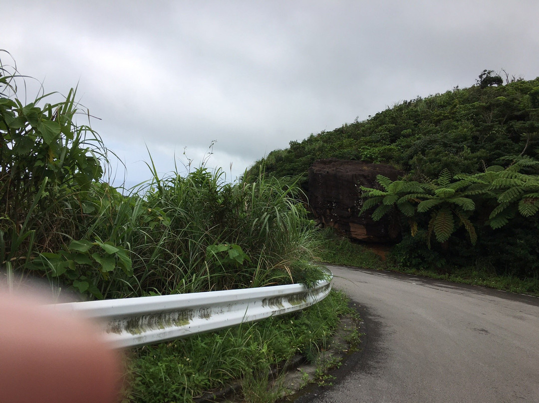Nosoko Forest Road景点图片