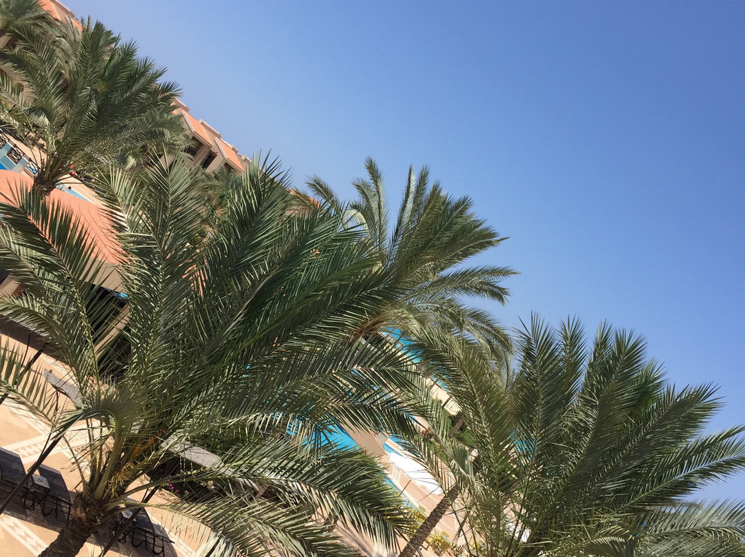 杰斯阿勒马扎湾酒店主图