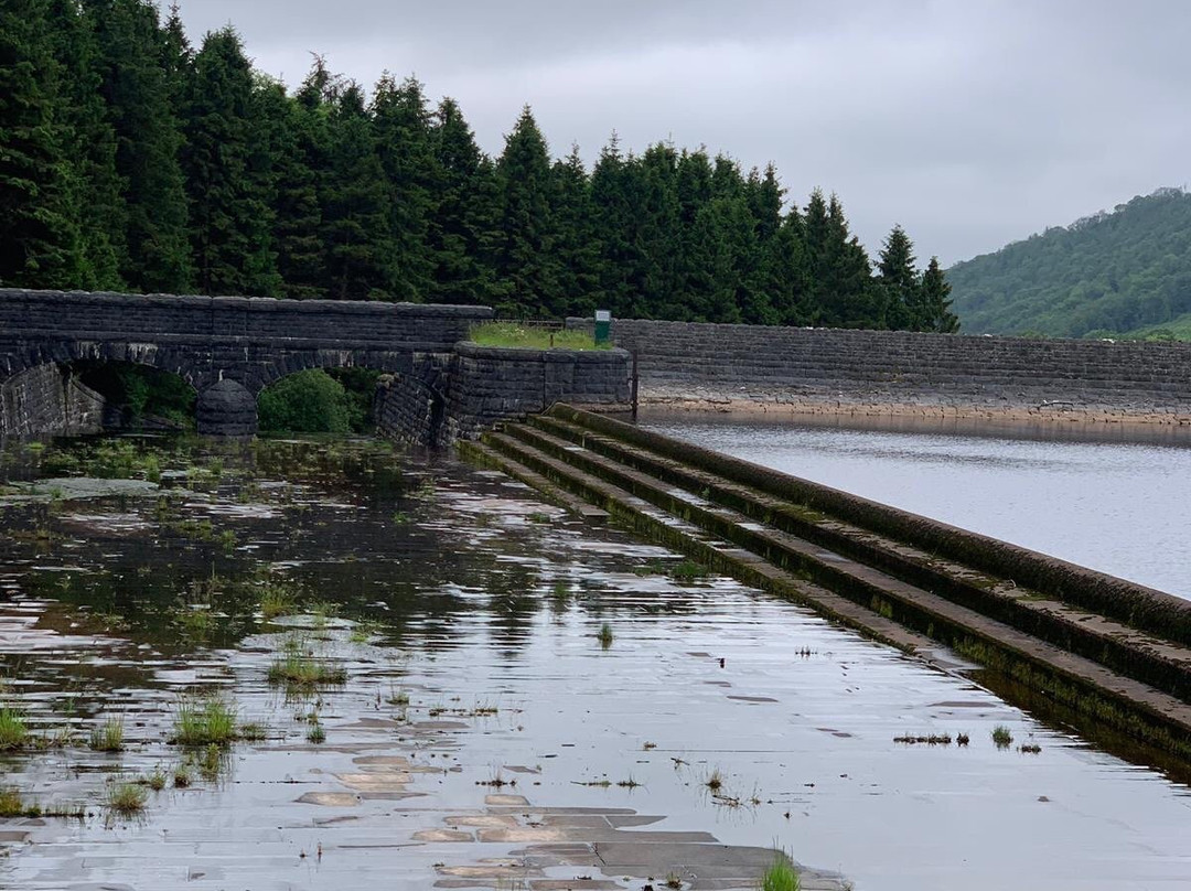Llwyn-on Reservoir-梅瑟蒂德菲尔必去景点