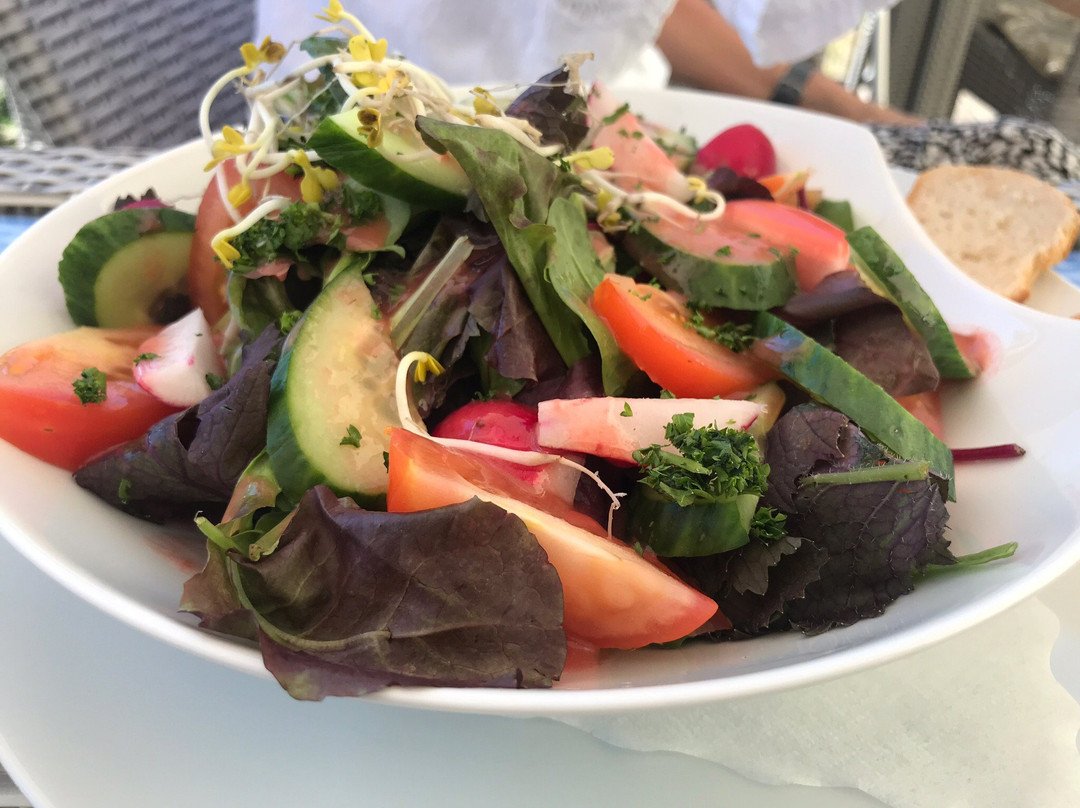 Parkhotel Forsthaus主图