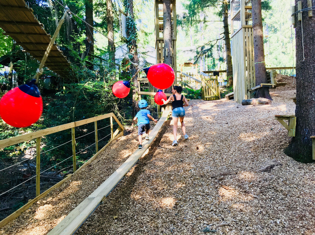 ACRO'Aventures Talloires景点图片