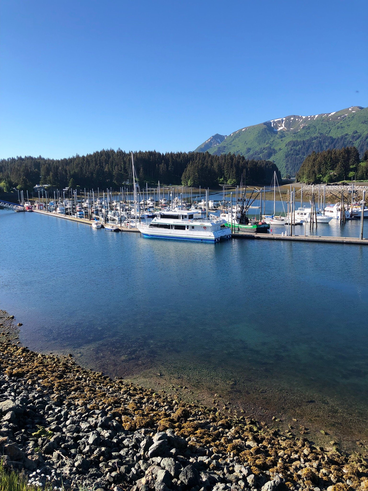 Seldovia Harbor Inn-官方