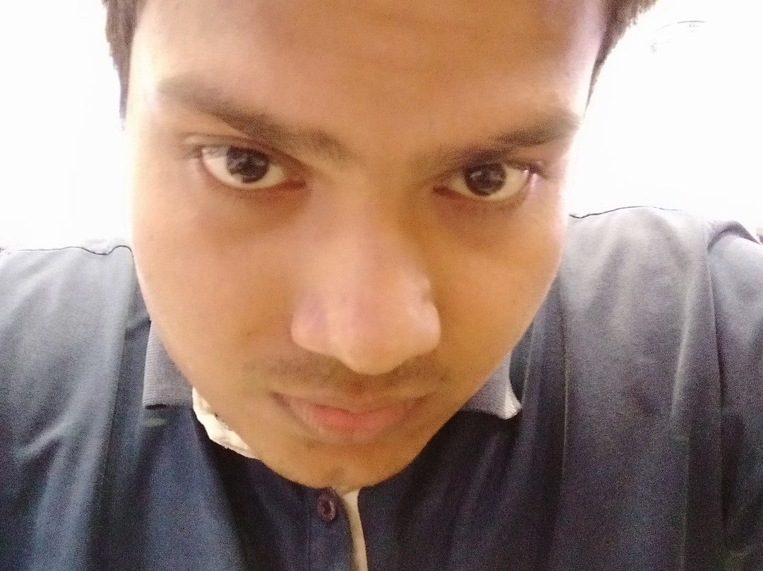 The Royal Phular主图