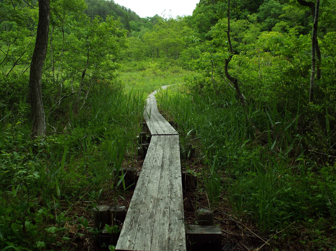 Yanohara Wetlands-昭和村必去景点