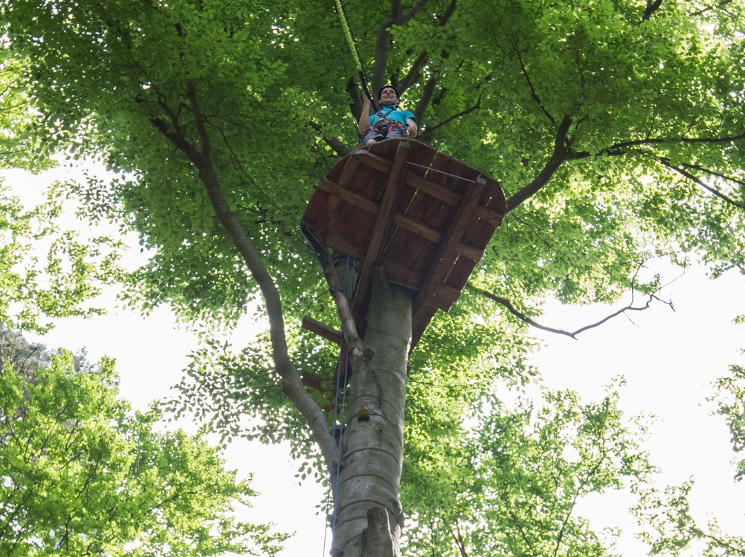 Kletterwald Spessart景点图片