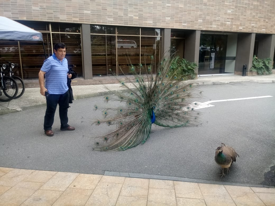 Hotel Movich Las Lomas主图