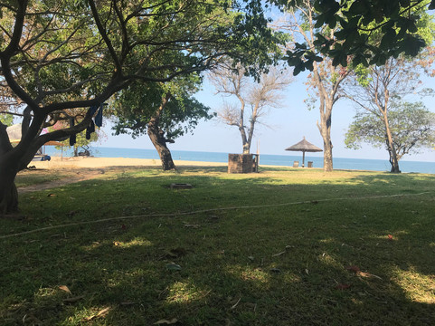 Ngala Beach Lodge主图