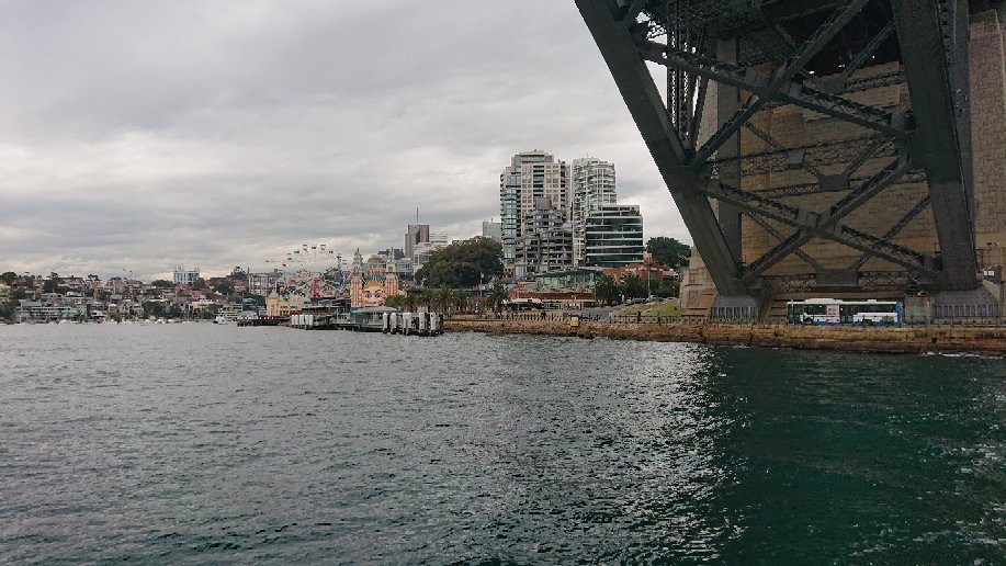 悉尼渡船景点图片