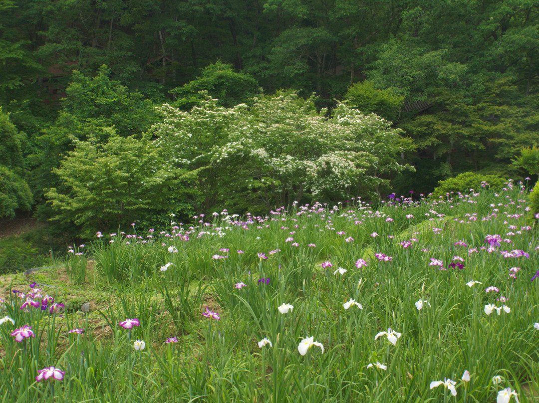 Michi-no-Eki  Ryokami Onsen Yakushi no Yu-小鹿野町必去景点