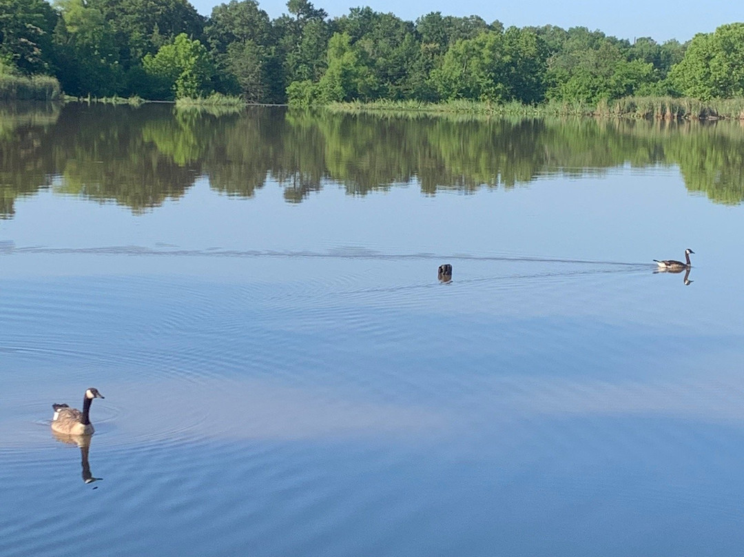 Raymond Gary State Park-Fort Towson必去景点