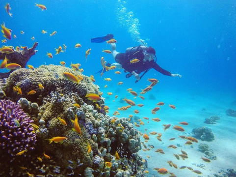 Israel Dive - diving in Eilat, Israel-埃拉特必去景点