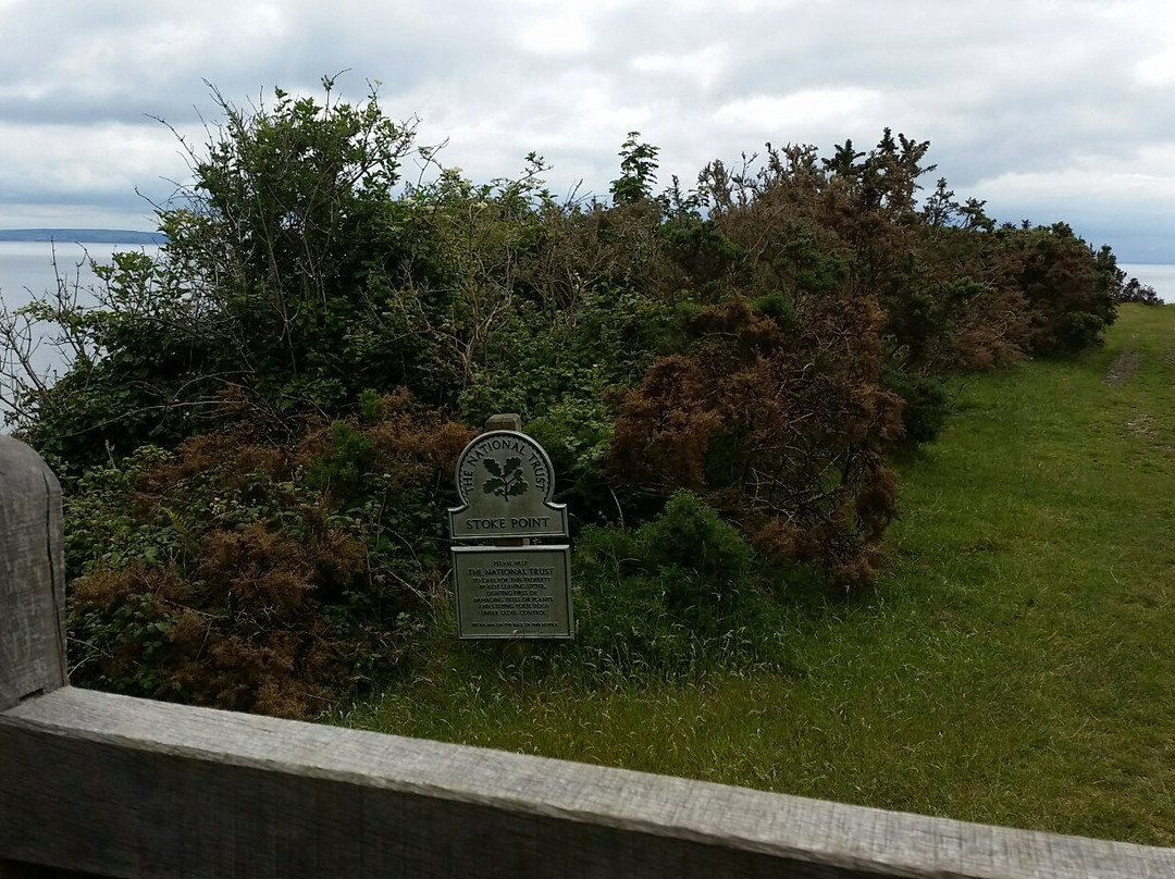 Stoke Beach-Noss Mayo必去景点