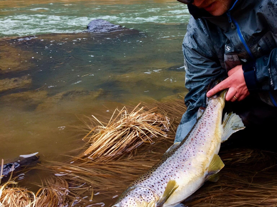 About Trout Fly Fishing-Chama必去景点