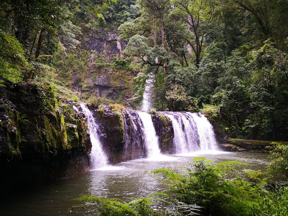 Nandroya Falls景点图片